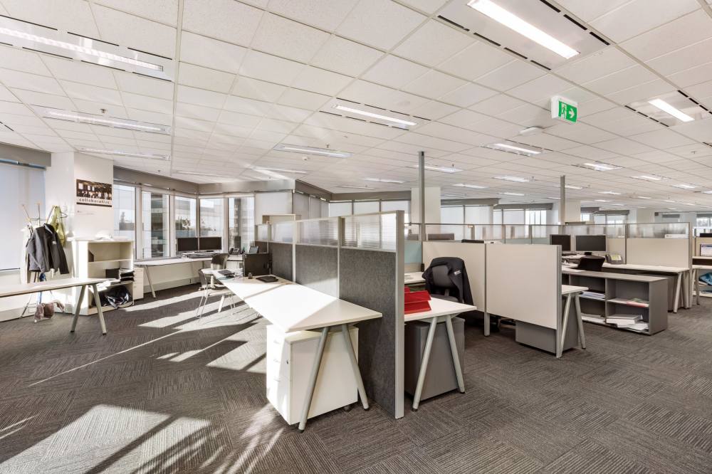 The Zenith, 821 Pacific Highway