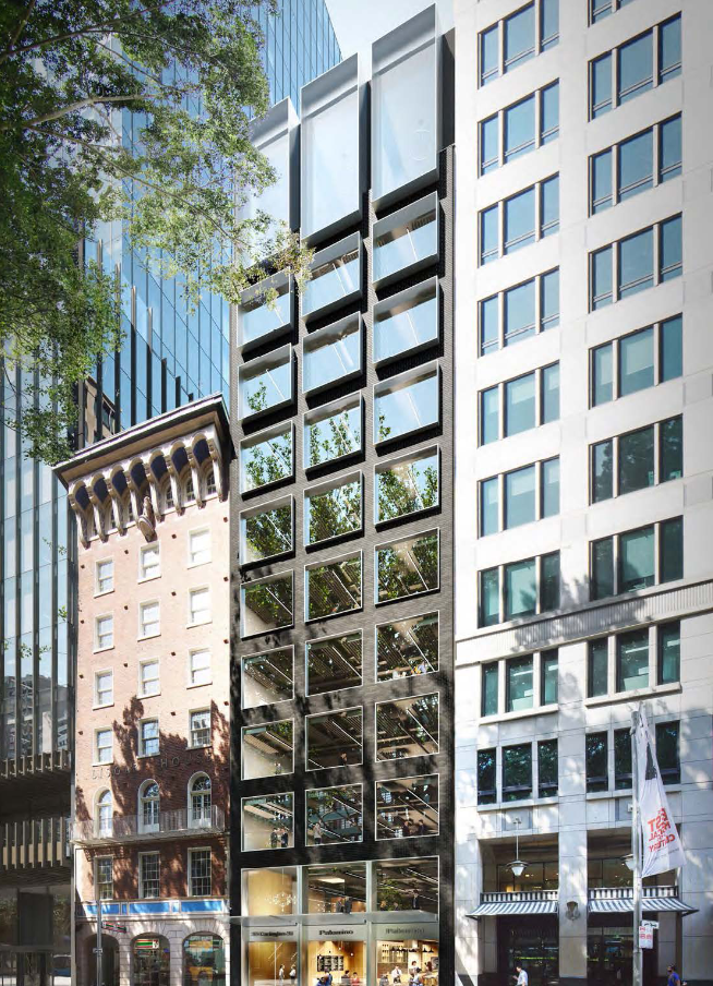 36 Carrington Street