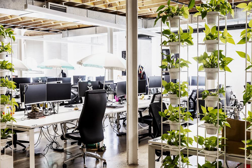 137 Pyrmont Street, Pyrmont | Offices For Rent | Suite for Lease | Pyrmont
