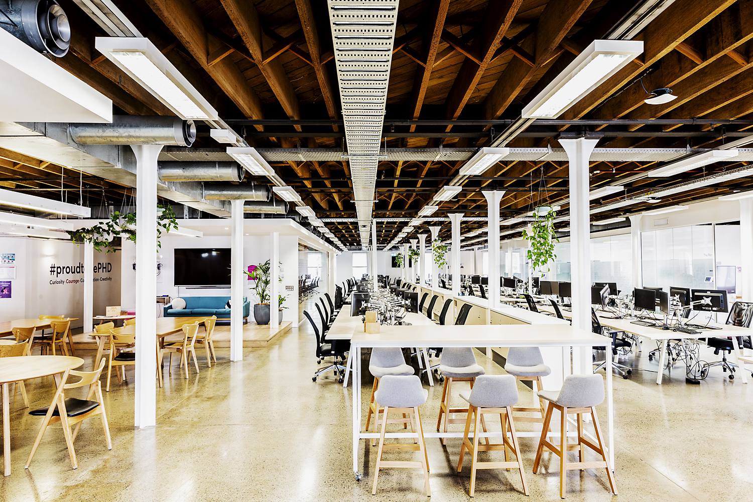 137 Pyrmont Street, Pyrmont | Offices For Rent | Suite for Lease | Pyrmont