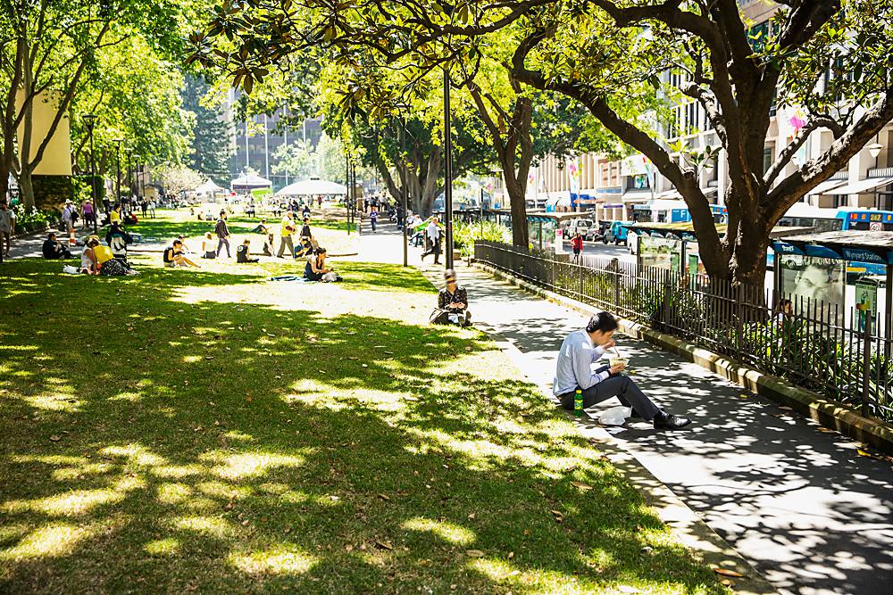 50 Carrington Street