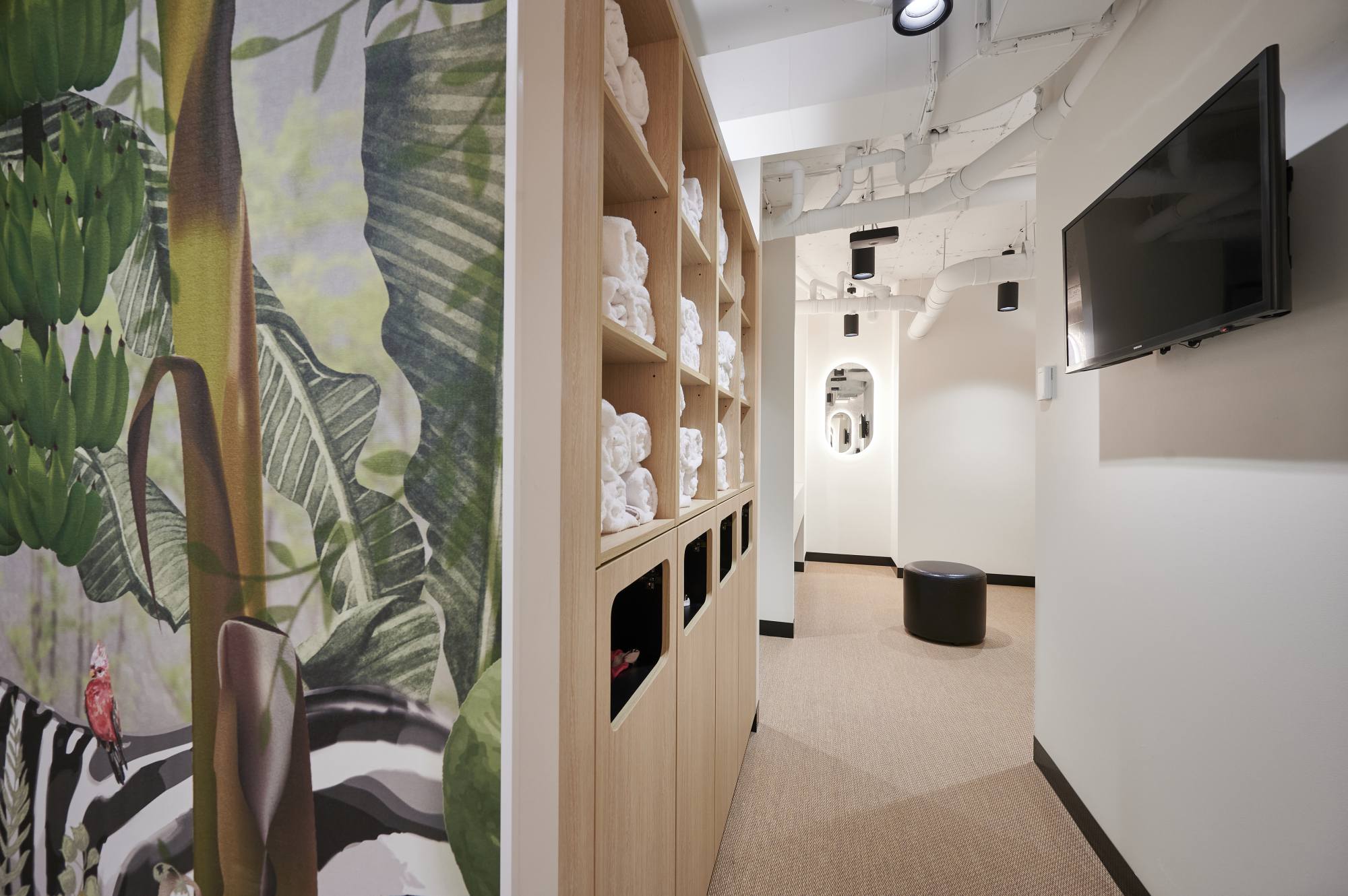 77 King Street Offices For Lease Sydney Cadigal