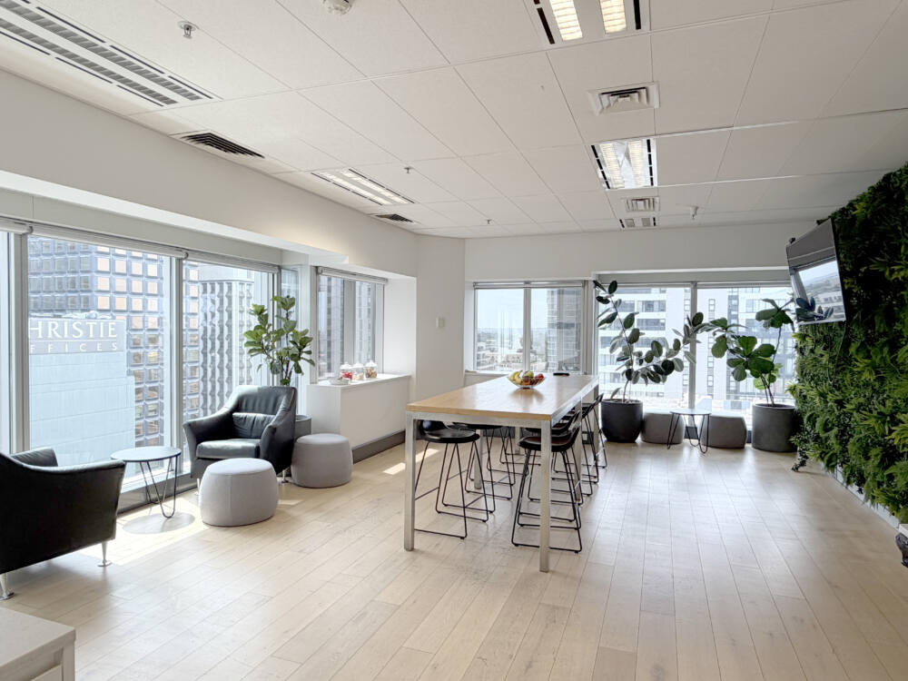 Level 15, 124 Walker Street